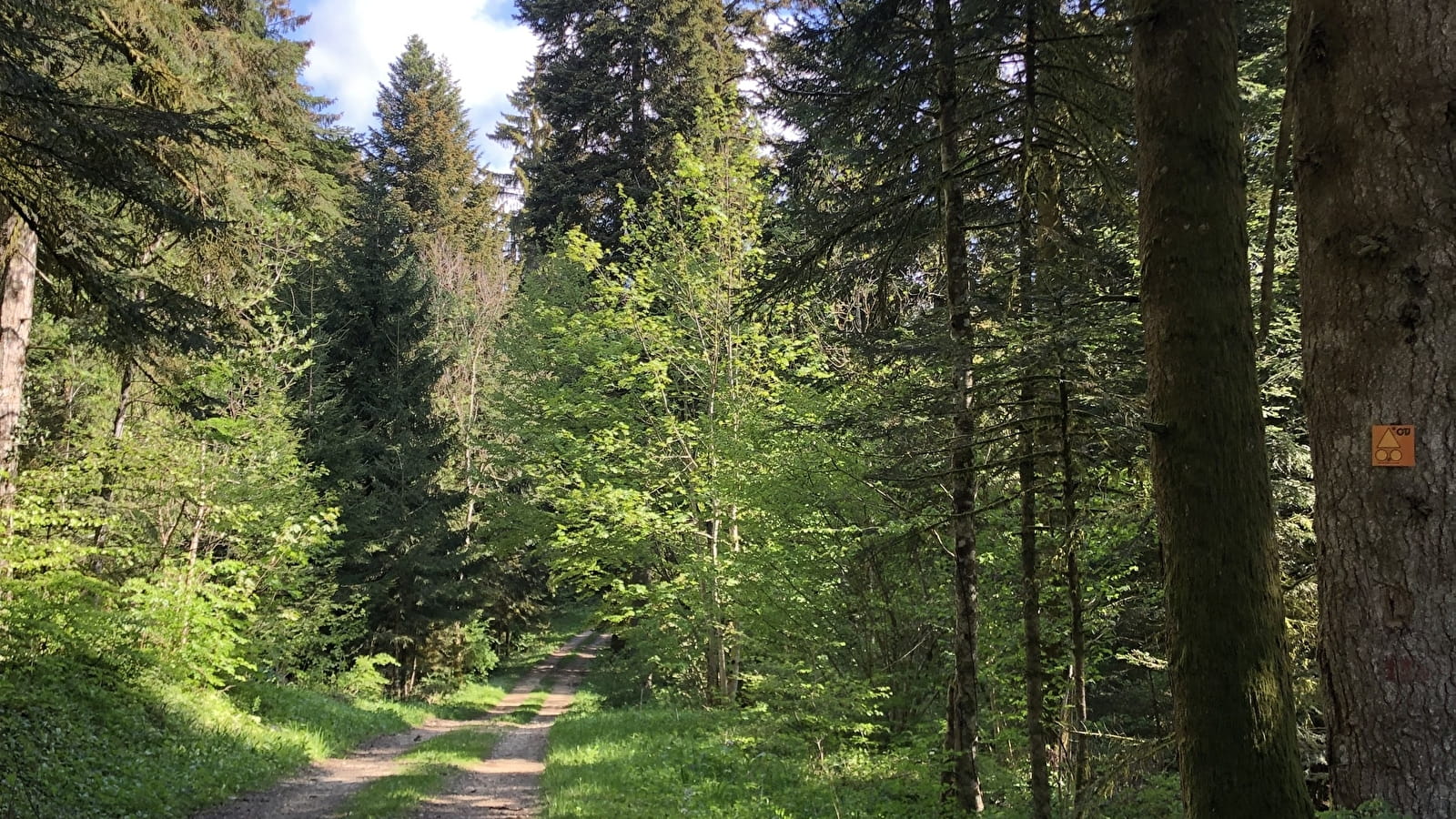 Tour de Pays VTT Bugey - Grand Colombier - Espace FFC Ain Forestière : étape 1 Culoz - La Praille