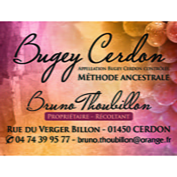 Caveau Bruno THOUBILLON - CERDON