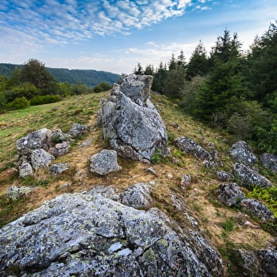 Micro aventure à Chiroubles