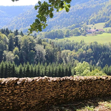 Mur-Mur(es) de pierres