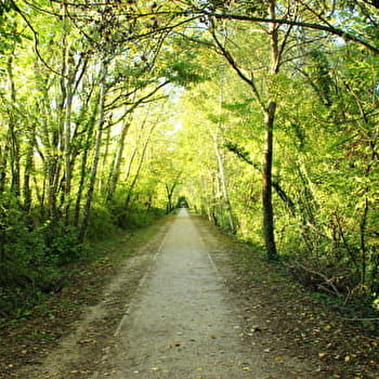 Parcours VTT 83 - rouge - Autour du Mont - Espace FFC Ain Forestière - DIVONNE-LES-BAINS