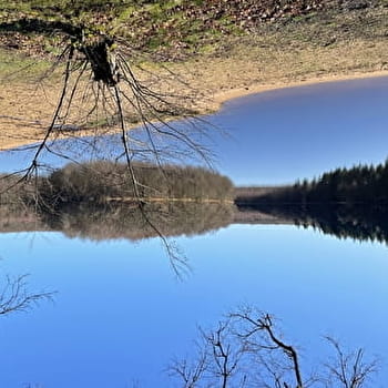Tour de l'étang du Merle - CRUX-LA-VILLE