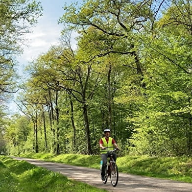 Boucle Saint-Honoré-les-Bains, Panneçot, Limanton