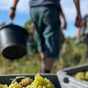 La Croisée Comtoise - POLIGNY