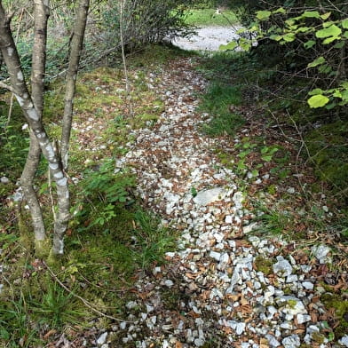 Parcours initiation Cani'trail de Nantua