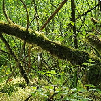 Circuit de Beauregard - MOLESME