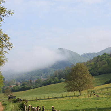 Circuit VTT n°4 (rouge) - Forêt et contreforts du Revermont