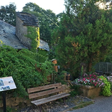 Randonnée pédestre : Circuit de la cascade de Clairefontaine