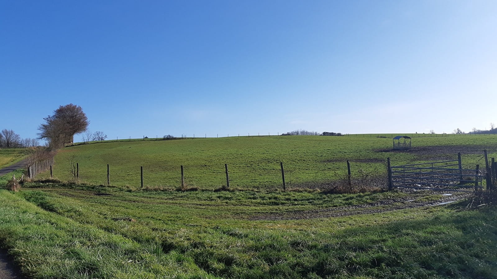 Randonnée - Sur les chemins de St Sulpice et St Didier d'Aussiat