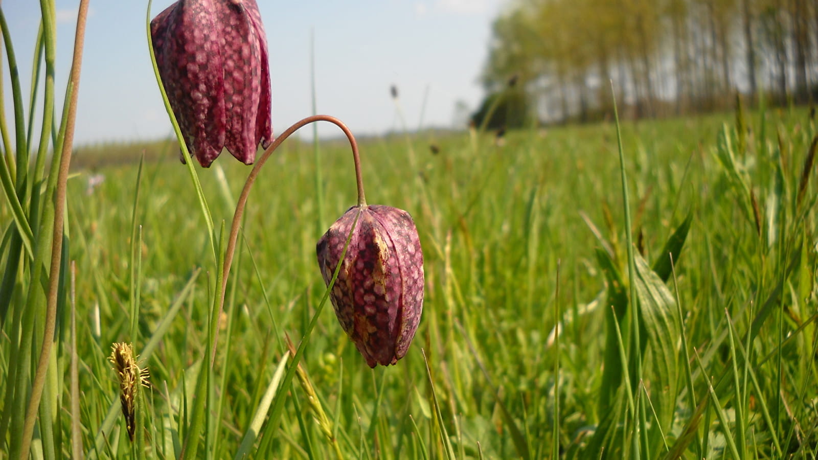 Circuit randonnée : L'ile de la Motte