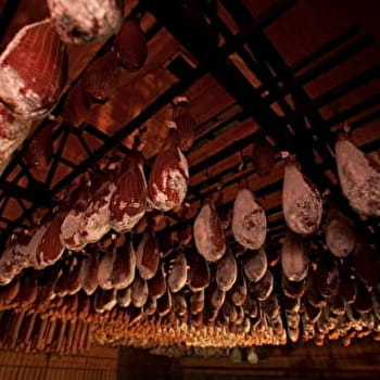 Tuyé du Papy Gaby - GILLEY