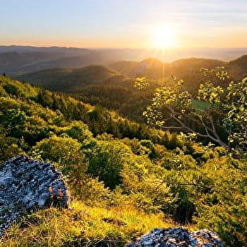 Parcours D - FONCINE-LE-HAUT