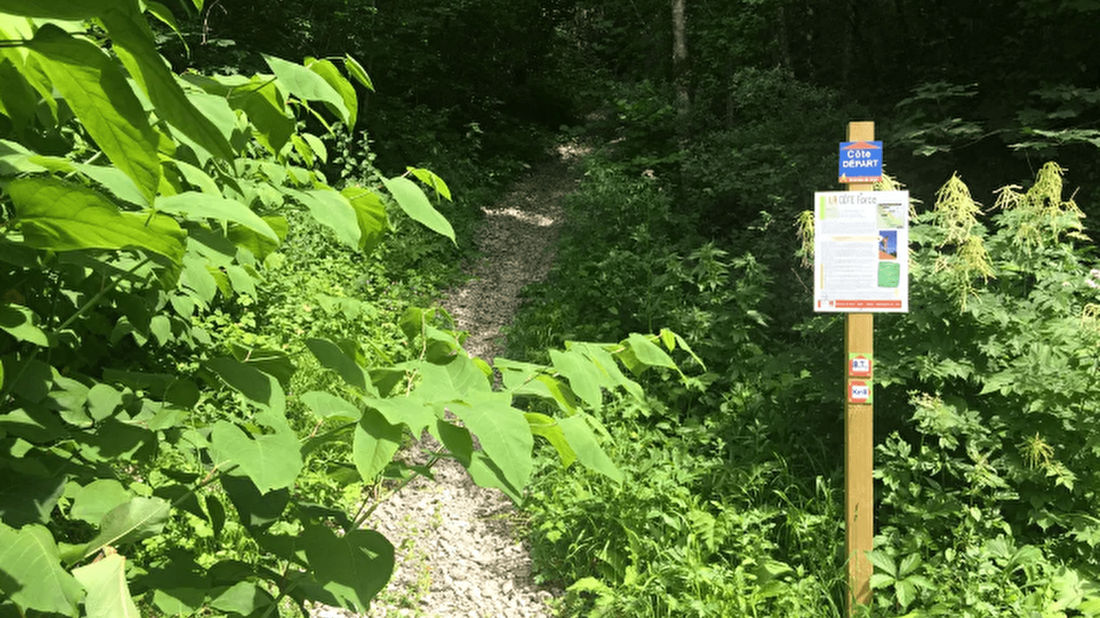 L'atelier Côte Force de Nantua