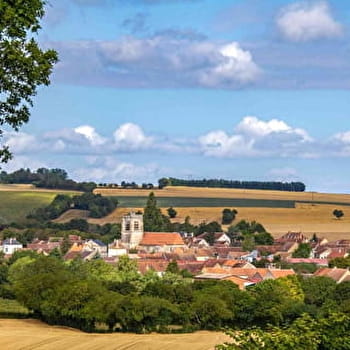 Les lavoirs et la chaume de Thury en VTT - THURY