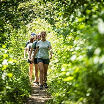 Micro-aventure : Tour de la vallée de l'Ain au pays du Cerdon - CERDON