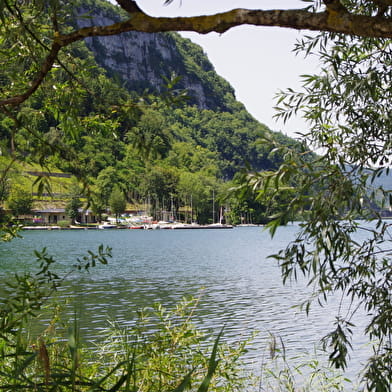 Parcours VTT 65 bleu - Plaine de Saint Martin - Espace FFC Ain Forestière