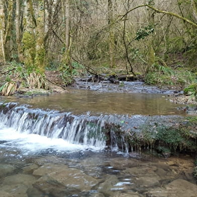 Balade nature : le sentier du Buizin