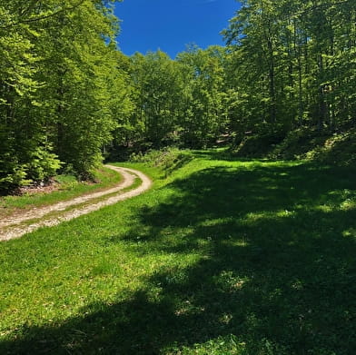 Grandes Traversées du Jura (GTJ) : Itinéraire VTT de Mandeure à Culoz via le Grand Colombier