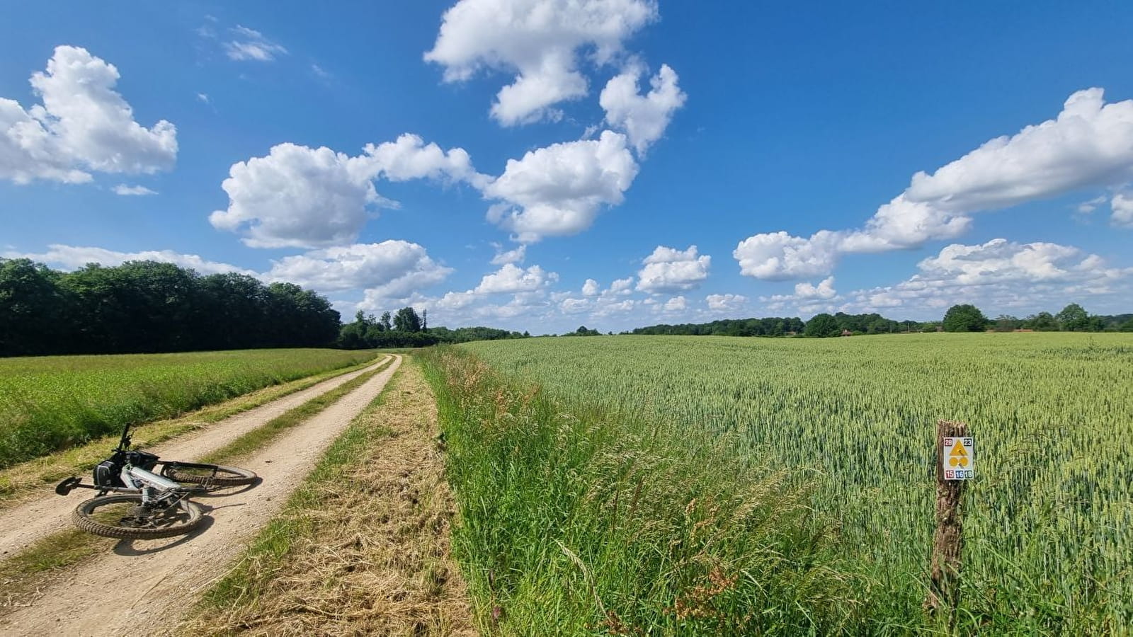 Circuit VTT-VTC n°15 (rouge) - Grand tour de la Haute Bresse