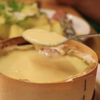 La ferme en direct - 