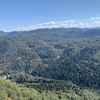 Randonnée - La Combe Noire - BELLIGNAT