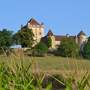 Vignoble et Châteaux - 88B - LONS-LE-SAUNIER