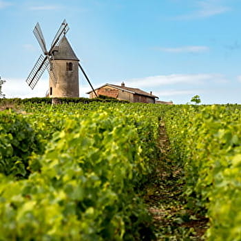 Circuit de Gargantua - CHENAS