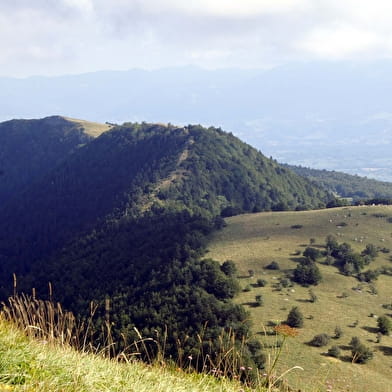 Randonnée pédestre : Boucle des Platières