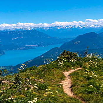 Circuit de randonnée pédestre : Chanduraz depuis Béon - CULOZ