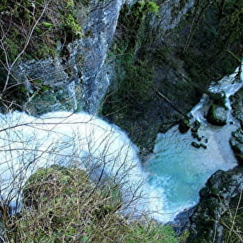 La Quinquenouille - VALZIN EN PETITE MONTAGNE