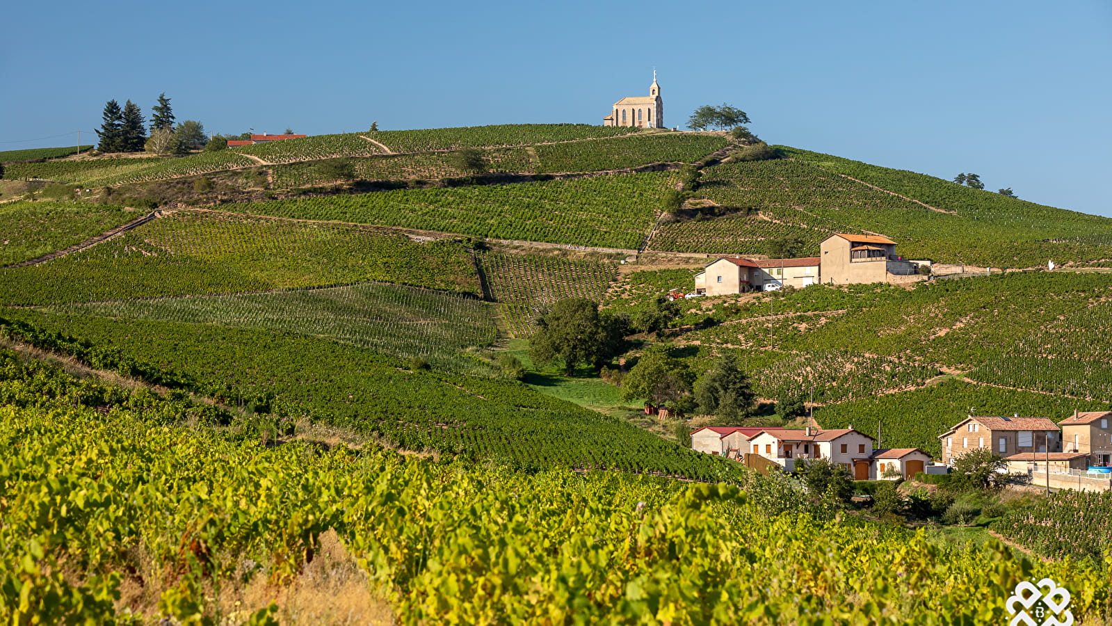 Circuit VTT B5 de Fleurie à Chénas