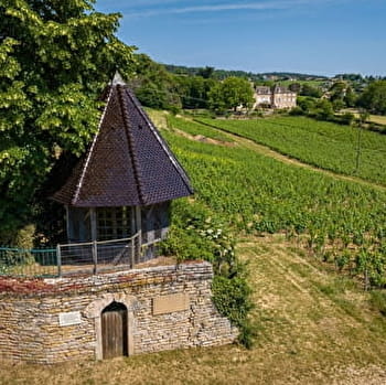 Des carrières de la Lie à la Solitude - La Roche-Vineuse - LA ROCHE-VINEUSE