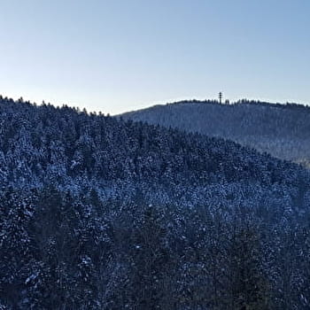 Les Crêtes depuis la Praille - Circuit raquettes - PLATEAU D'HAUTEVILLE