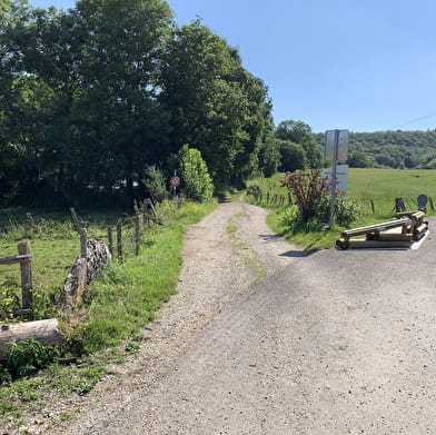 Randonnée - Forêt de la ravière et de Jailloux