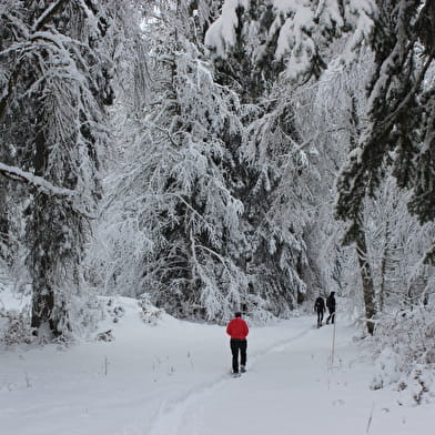 Sentier raquettes de l'Écureuil