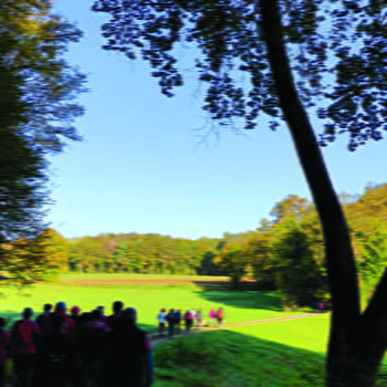 Trail des dolines - DAMPIERRE-SUR-LINOTTE