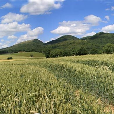 La Grange du Pin : Circuit pédestre n°2