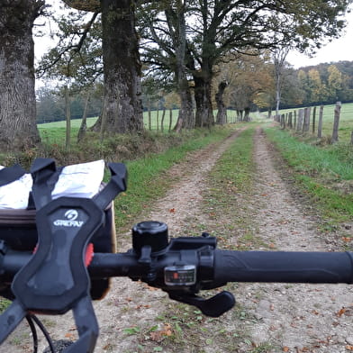 Circuit VTT-VTC n°6 (rouge) Chemins des bois de Bresse (variante courte)