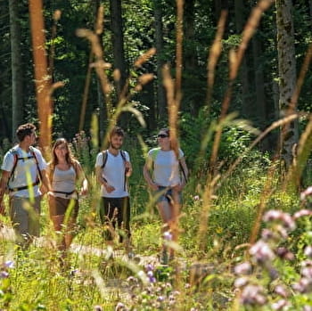 La Via Cluny en Bourgogne - CHAMPAGNAT