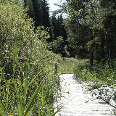 Balade - Le marais des Lèches