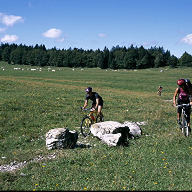 Parcours VTT 58 noir - L'intégrale du Poizat - Espace FFC Ain Forestière
