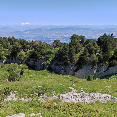 Randonnée pédestre : Catheline - Crêt de la Neige par Brulat Frésy