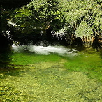 Balade : de la grande source aux sources - DIVONNE-LES-BAINS