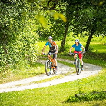 Sentier du Tacot - GEVREY-CHAMBERTIN