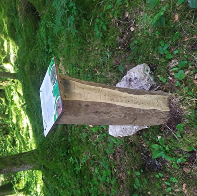 Du coin d'amont au coin d'aval