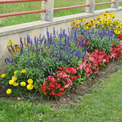 Circuit randonnée : Le Chant des oiseaux
