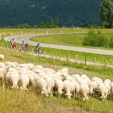 ViaRhôna à vélo - Étape 07 - Groslée > La Balme-les-Grottes