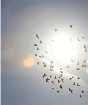 Circuit VTT n°24 / Braillans - BRAILLANS