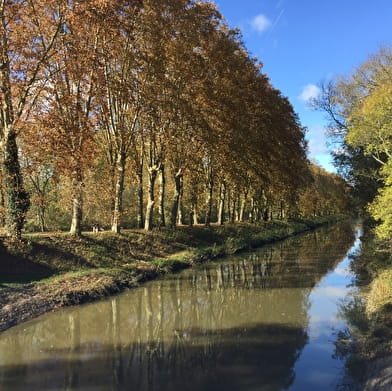 Circuit randonnée : La Nove