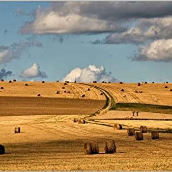 Les lavoirs et la chaume de Thury à cheval - THURY